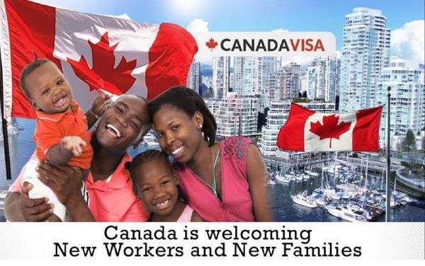 Confused On How To Immigrate To Canada? Few Steps To Guide You