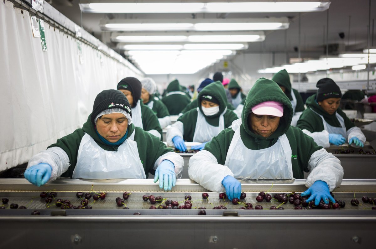Your Rights as a Temporary Foreign Worker in Canada